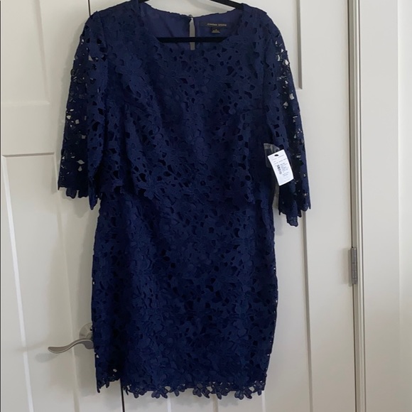 Cynthia Steffe Dresses & Skirts - Cynthia Steffens Half-sleeve Popover Lace Dress